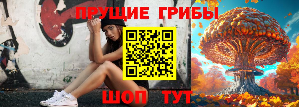 Миллерово  Галлюциногенные грибы Cubensis  Вход с VPN 